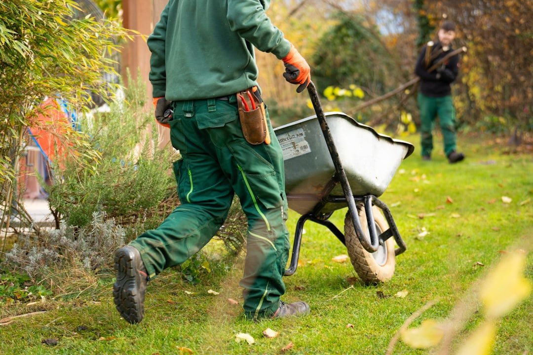 Landscapers cleaning the garden. Person pushing an empty wheelbarrow.